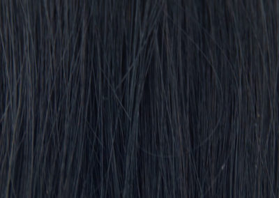 Colores ginger1Negro Intenso