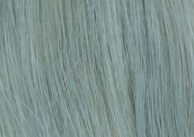Color extensiones ginger color silver