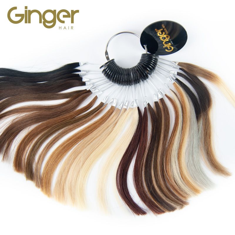 Muestrario de color de la marca Ginger